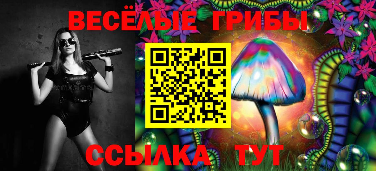 Псилоцибиновые грибы MAGIC MUSHROOMS Партизанск