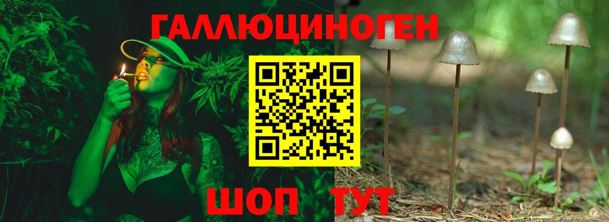 Партизанск  Псилоцибиновые грибы MAGIC MUSHROOMS  Вход с VPN  Галлюциногенные грибы Psilocybine cubensis 